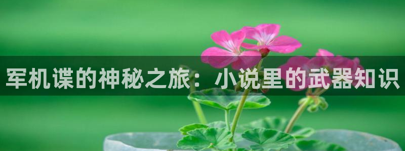 哔哩轻小说app官：军机谍的神秘之旅：小说里的武器知识